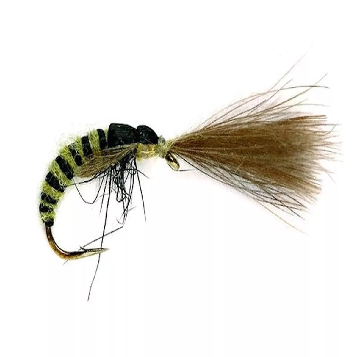 grannom-pupa Grannom Pupa